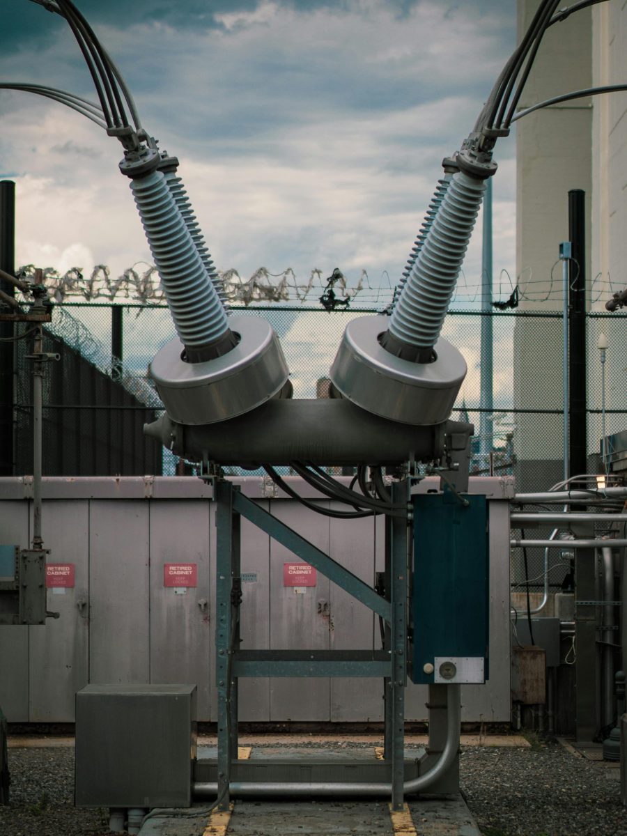 pexels-blue-13287450